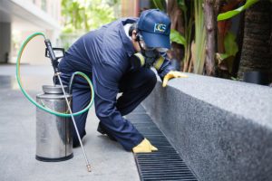 What to Consider in Hiring a Pest Control Professional