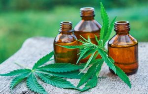 Tracing out perfect CBD oil distributors to your business is important