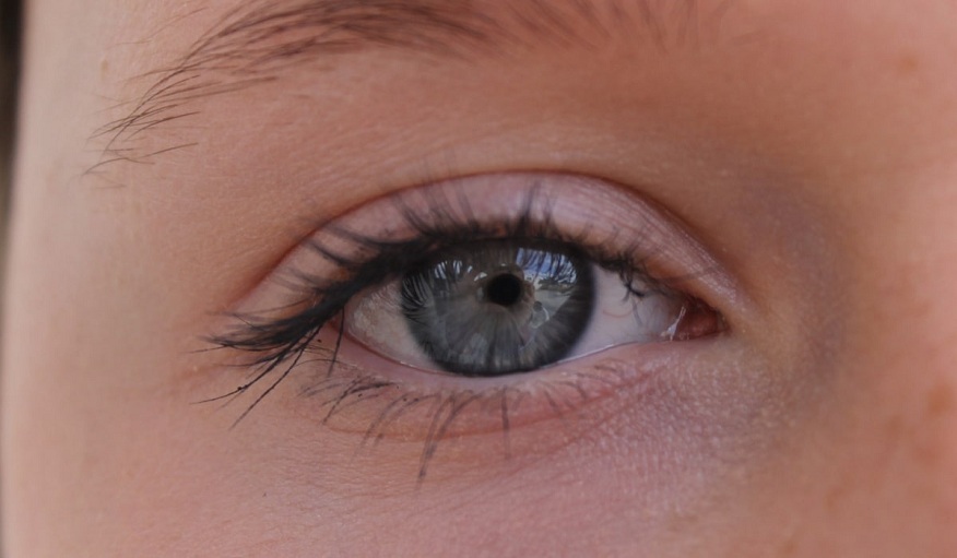Understanding Pupil Reactivity: What Changes in Pupil Size Can Reveal