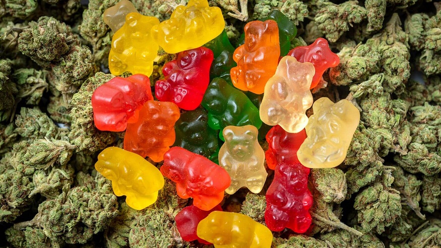 Discover the benefits of the best CBD gummies